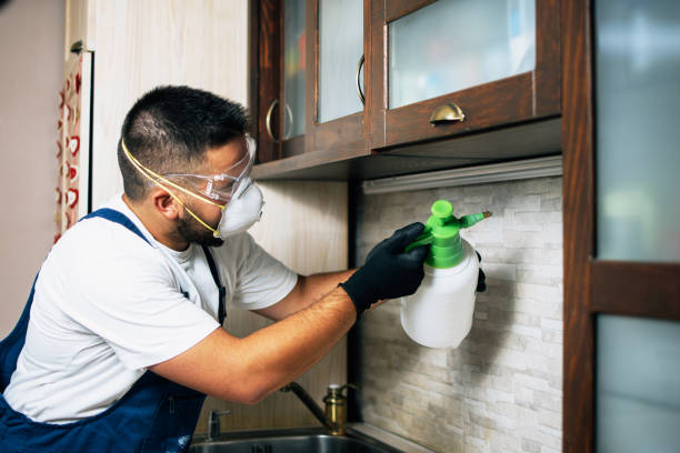 Best Flea Control Services  in Kingsley, MI
