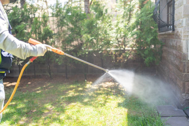 Best Pest Prevention Services  in Kingsley, MI