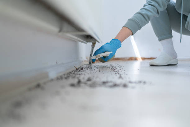 Best Commercial Pest Control Services  in Kingsley, MI